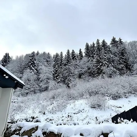 Apt. Prive «le Skieur» / Acces / Cosy & Equipe * Gérardmer