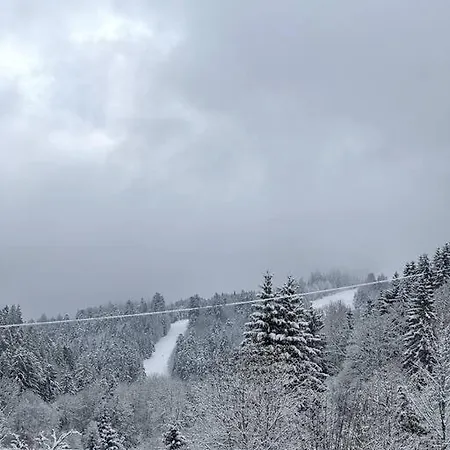 Apt. Privé  Le Skieur  / Accès / Cosy&équipé Appartement Gérardmer