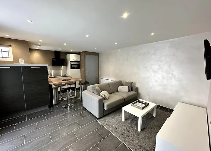 Apt. Prive «le Skieur» / Acces / Cosy & Equipe