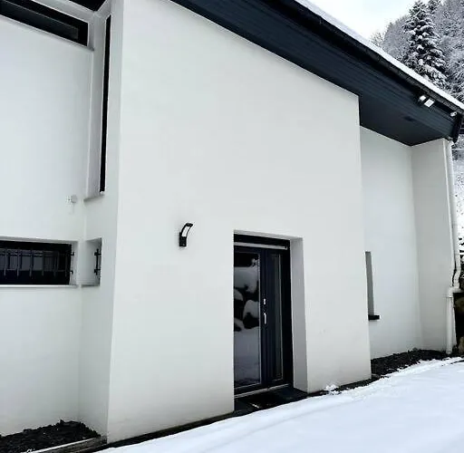 Apt. Prive «le Skieur» / Acces / Cosy & Equipe Gerardmer