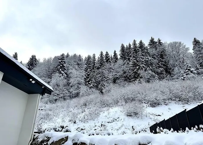 Apt. Prive «le Skieur» / Acces / Cosy & Equipe * Gérardmer