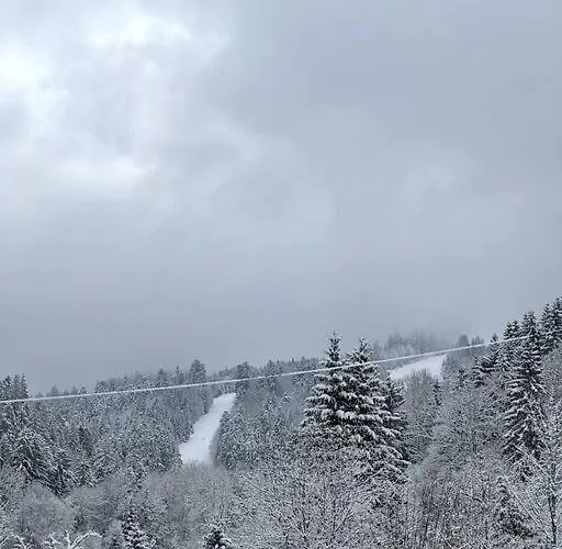 Apt. Prive «le Skieur» / Acces / Cosy & Equipe Apartment Gerardmer